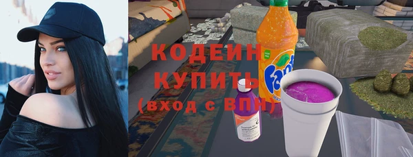 прущие грибы Волосово
