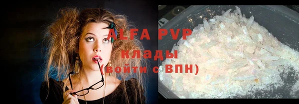 прущие крисы Верея